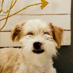 Meet your Posher, Terrie